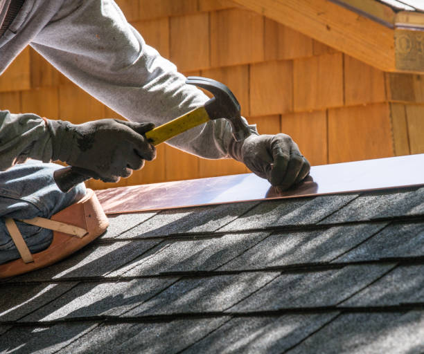Best Metal Roofing Contractor  in South Chicago Heights, IL